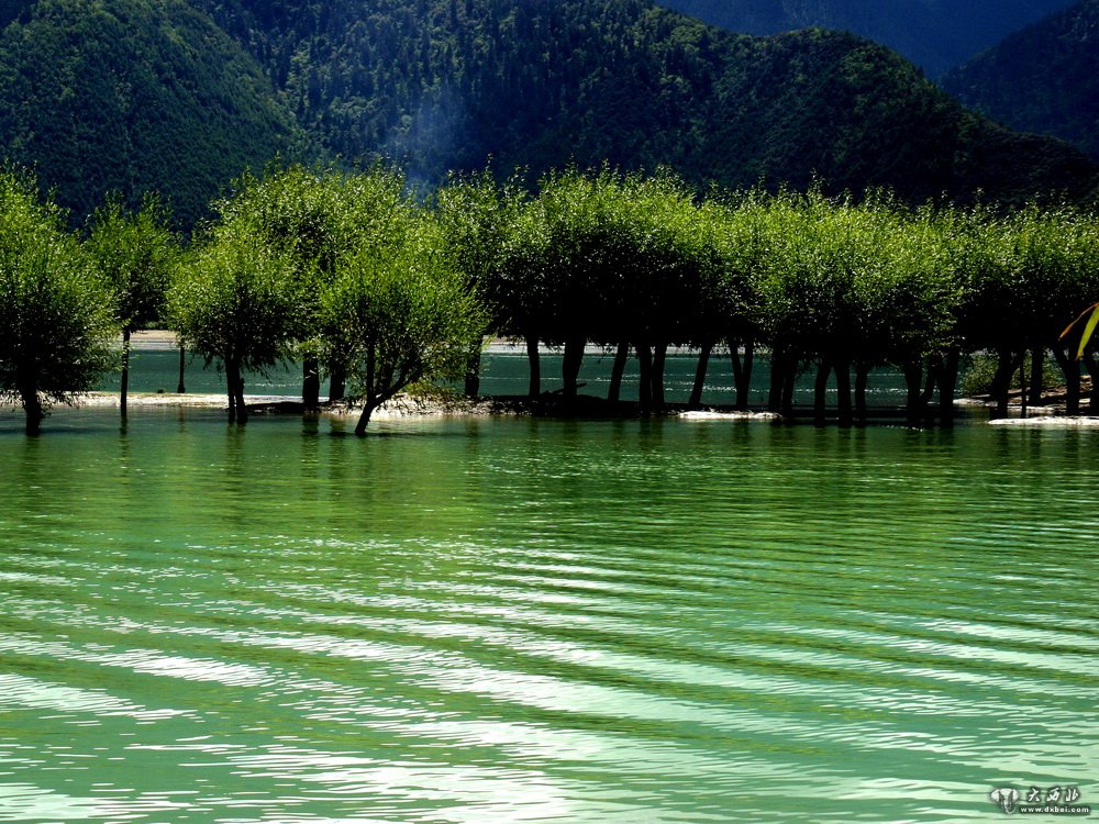 青藏高原上的河流——尼洋河