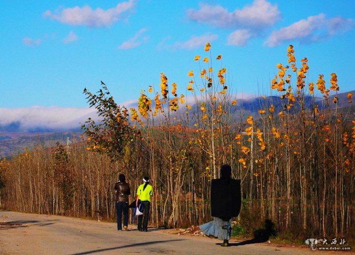 大凉山里的阳光之旅