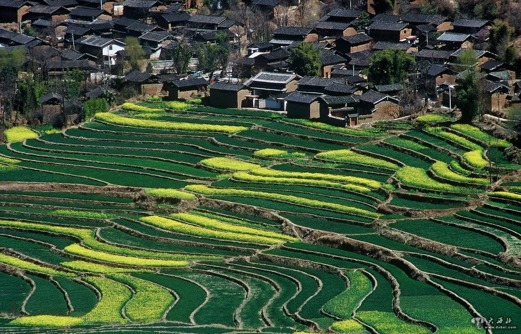 丽江市风光