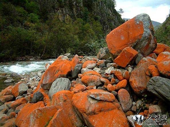 东谷天然盆景景区风光