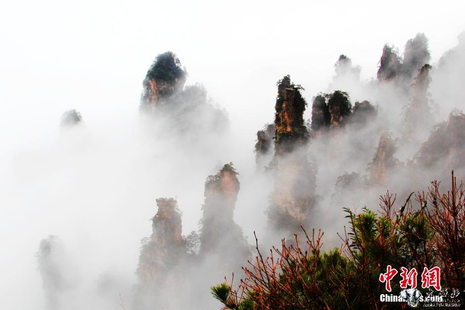 张家界天子山连绵冬雨现云雾仙景