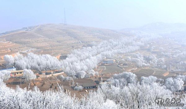 黄土高原甘肃陇西山区现雾凇美景