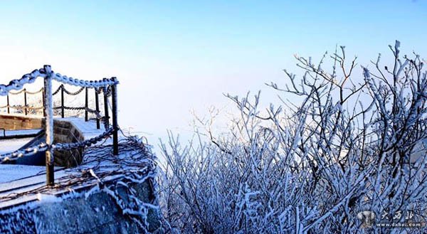 湖北麻城：龟峰冰花开 美景入画来