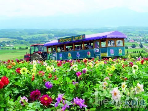 闻香识北海道