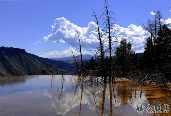 美国黄石国家公园马默斯温泉景区的景观(8月8日摄)。