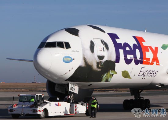 1月15日，运送大熊猫“欢欢”和“圆仔”的专机抵达法国巴黎戴高乐机场。新华社记者 高静 摄