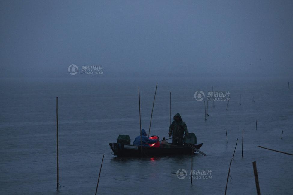 “洗澡蟹”的秘密