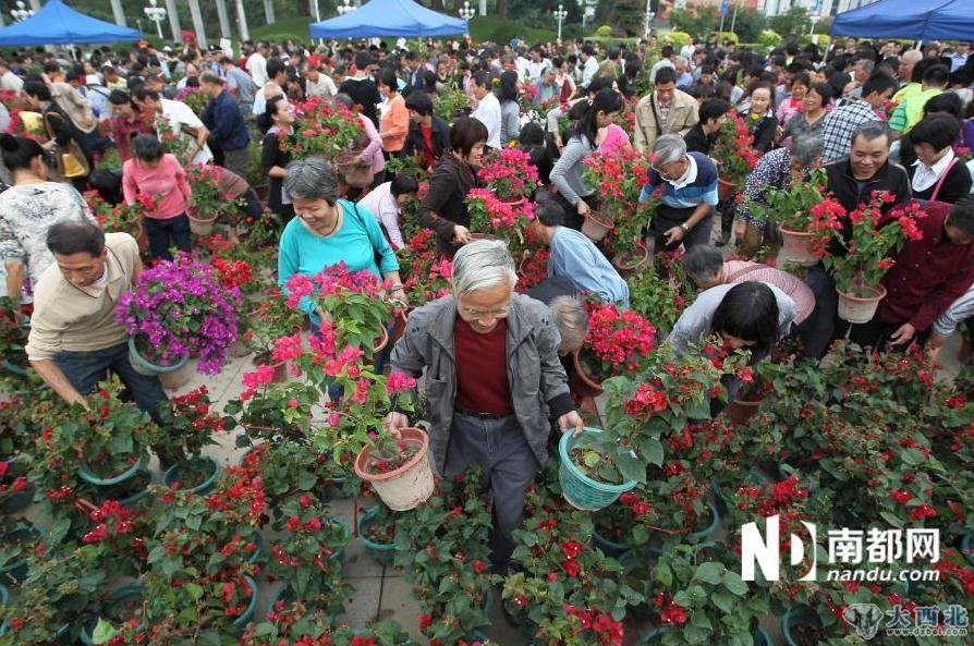 图为工作人员的发放速度满足不了到场市民，大家推倒围栏进场抢花。