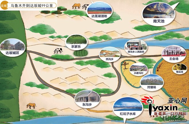 第四届雪菊文化旅游节8月22日开幕 达坂城200亩雪菊邀你免费摘