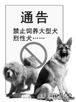 城市四区个人不得饲养大型犬烈性犬