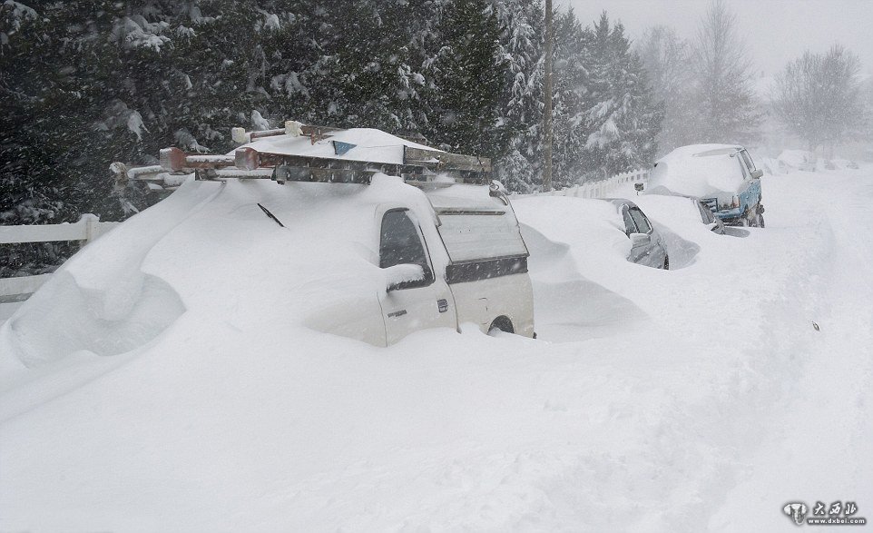 暴风雪袭击美国17人丧生11个州进入紧急状态(组图)