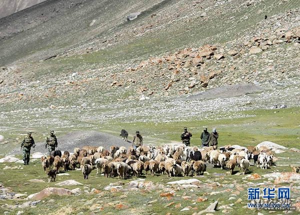 排依克边防派出所的干警们帮助阿特加依里村的牧民将牛羊转场至夏季牧场里