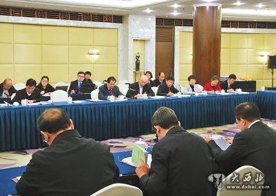 出席十二届全国人大五次会议的甘肃省代表分组审议政府工作报告