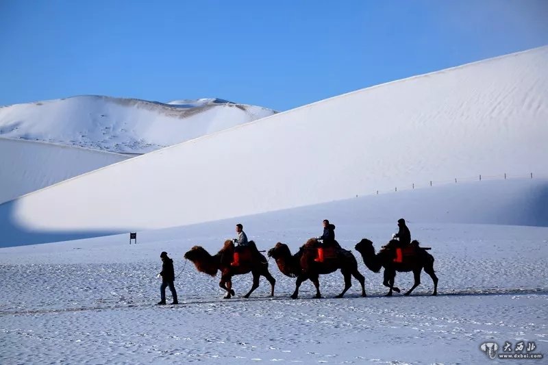 鸣沙月泉如画雪景迎客来