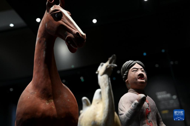 陕西考古博物馆向公众